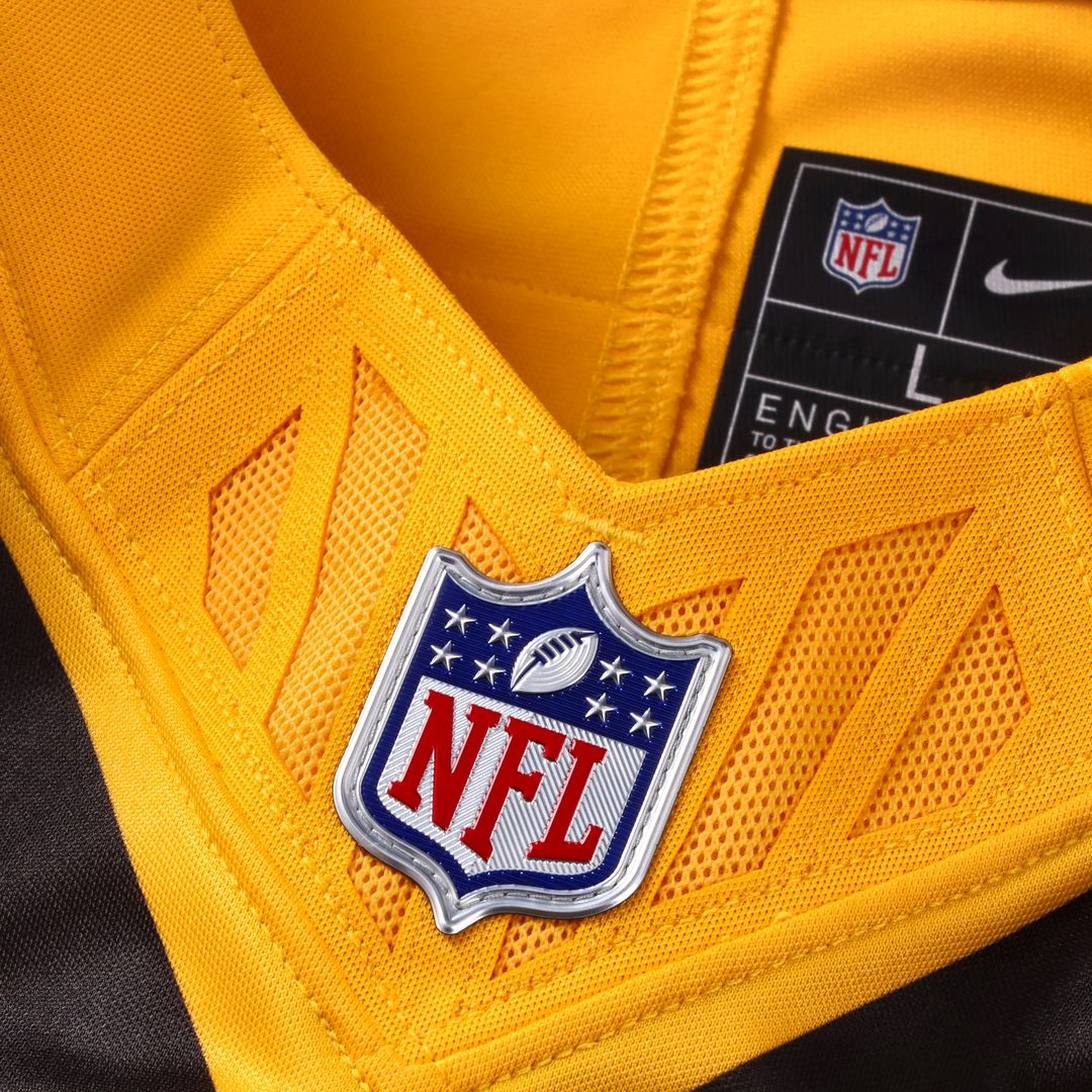 Aaron Rodgers Pittsburgh Steelers Nike Team  Vapor F.U.S.E. Limited Jersey - Black